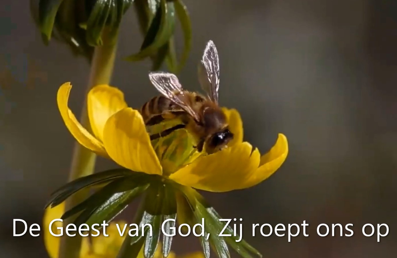 De Geest Van God Is Als Een Dans Hervormde Kapel Wierdenhervormde Kapel Wierden